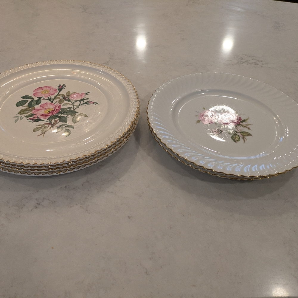 Set Of 6 Plates 10"